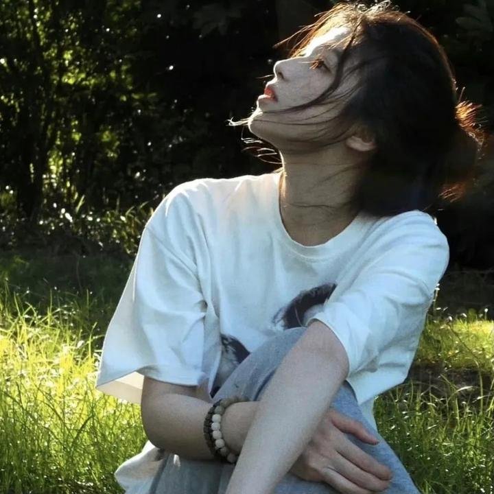 新游记